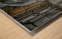 venus Wood print