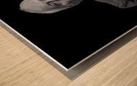 Peter Frampton 4 Wood print