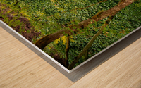 Japanese Garden Portland 10 Wood print