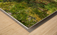 Japanese Garden Portland 9 Wood print