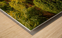 Japanese Garden Portland 3 Wood print