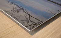 Oregon Coast 3 Wood print