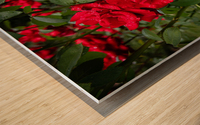 Rose Garden Portland 6 Wood print