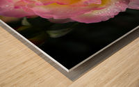 Rose Garden Portland 4 Wood print