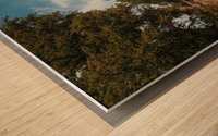 Hilltop Bristlecones Cropped Wood print