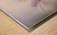 Nemorosa Wood print