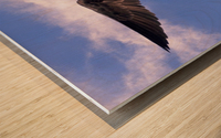 Bird Fight Wood print