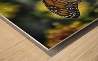butterfly 6 Wood print