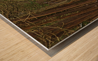 Over The Winter Wetland Wood print