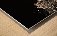 The Fragile Squaw Wood print