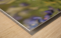 Bluebonnet Wood print