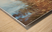 Reeds Wood print