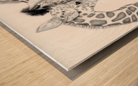 Giraffe Family  Wood print