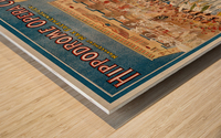 Aida Wood print