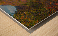 Swallowed by Fall Colors Wood print