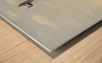 Faucet Wood print