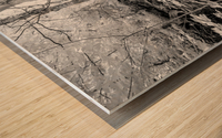 Roots Wood print