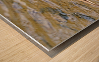 Wading Killdeer Wood print