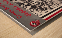 1966 Vince Dooley Georgia Bulldogs Art Wood print