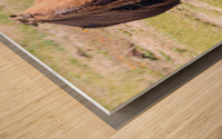 Bison-Reflections Wood print