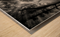 Primary forest Wood print