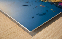 Manta reef on the reef Wood print
