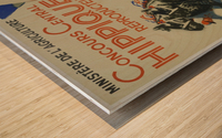 Concours Central Hippique Poster Wood print