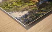 Sacred Deer Wood print