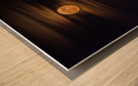 Magical Moonlight Wood print