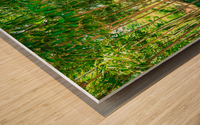 Bamboo Wood print