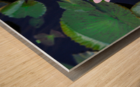 Water Lilies Wood print