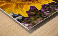 Sunflower Creative Wood print