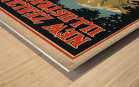 New Zealand Illustrated poster Wood print