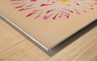 Dahlia    Wood print