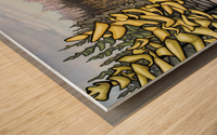 River Rocks Wood print