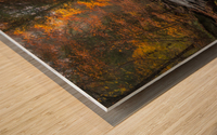 Ricketts Glen in the fall 2 Wood print