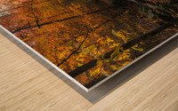 Ricketts Glen in the fall Wood print