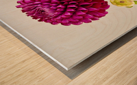 Beautifully Dahlia Wood print