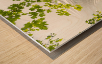 Passerelle hi-key Wood print