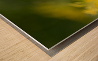 Jaune Wood print