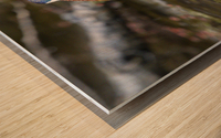Le mandarin Wood print