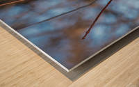 Nyctale de Tengmalm  Wood print