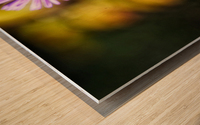 Purple Flower Haze Wood print