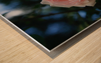  Pink Promise Wood print
