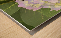EEF09B60 02F0 456C AEBD B1DF36B6D439 Wood print