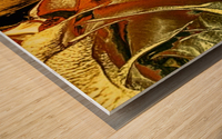 Just Golden Wood print
