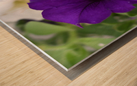 E9B97A6E 4F90 43C4 9948 EF54A7C5714C Wood print