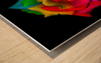 The Beautiful Colored Rose Wood print