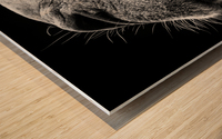 Camel Impression sur bois