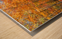 Road into autumn Wood print